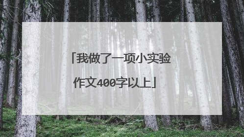 我做了一项小实验作文400字以上