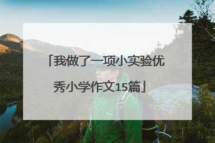 我做了一项小实验优秀小学作文15篇