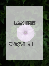 我军训的感受优秀作文