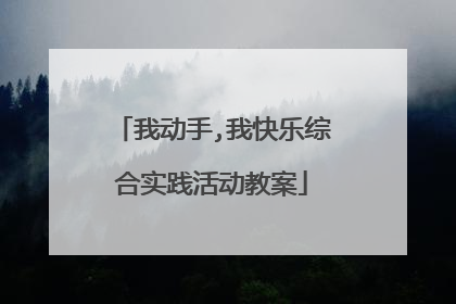 我动手,我快乐综合实践活动教案