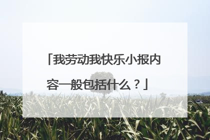 我劳动我快乐小报内容一般包括什么?