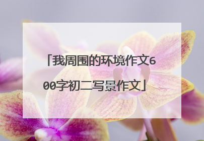 我周围的环境作文600字初二写景作文