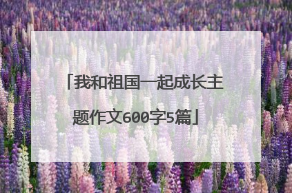 我和祖国一起成长主题作文600字5篇