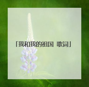 我和我的祖国 歌词