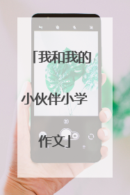 我和我的小伙伴小学作文