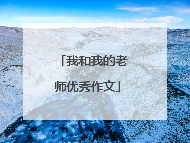 我和我的老师优秀作文