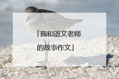 我和语文老师的故事作文