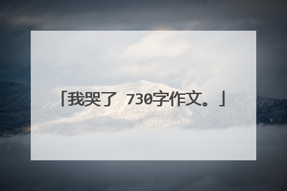 我哭了 730字作文。