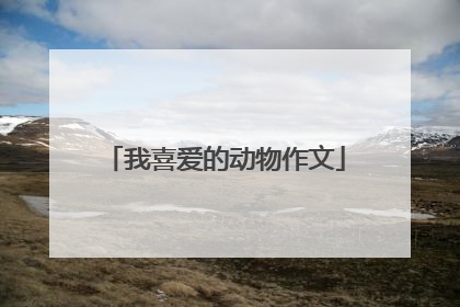 我喜爱的动物作文