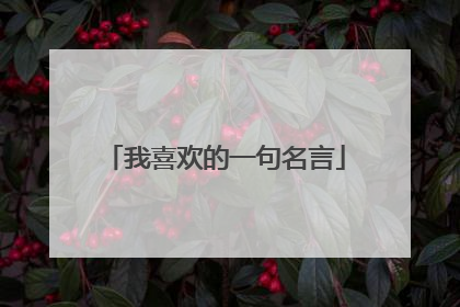 我喜欢的一句名言