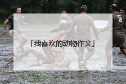 我喜欢的动物作文