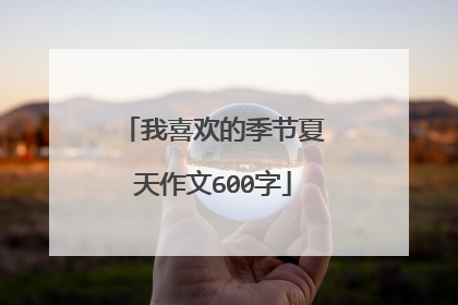 我喜欢的季节夏天作文600字