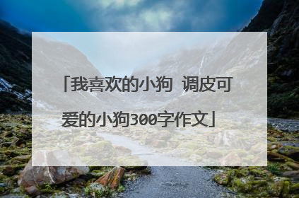 我喜欢的小狗 调皮可爱的小狗300字作文
