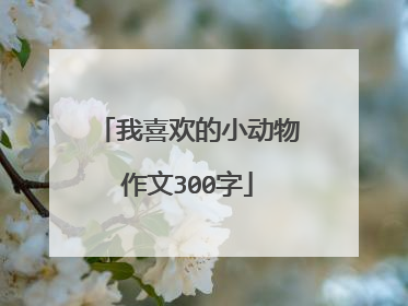 我喜欢的小动物作文300字