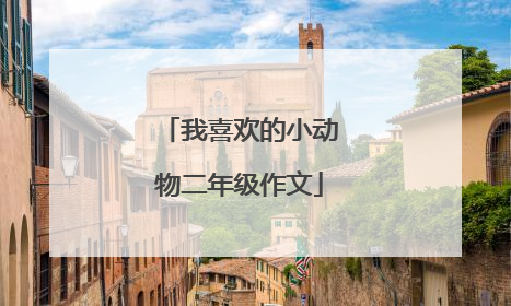 我喜欢的小动物二年级作文