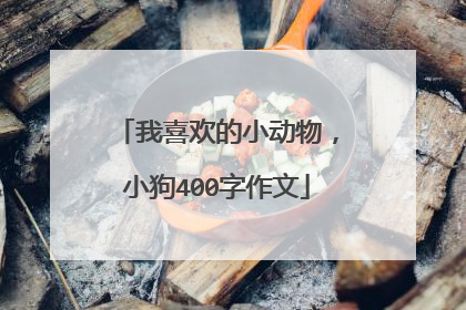 我喜欢的小动物，小狗400字作文