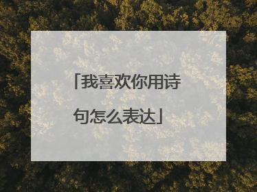 我喜欢你用诗句怎么表达