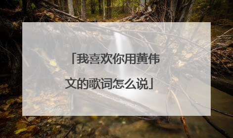 我喜欢你用黄伟文的歌词怎么说