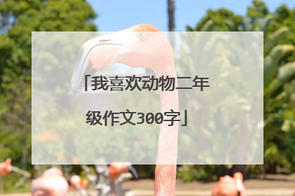 我喜欢动物二年级作文300字