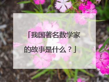 我国著名数学家的故事是什么？