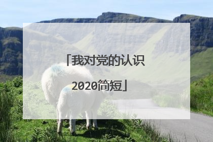 我对党的认识2020简短