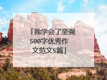 我学会了坚强500字优秀作文范文5篇