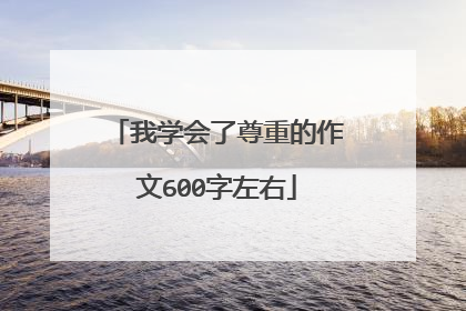 我学会了尊重的作文600字左右