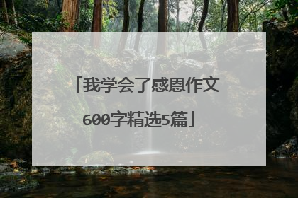 我学会了感恩作文600字精选5篇