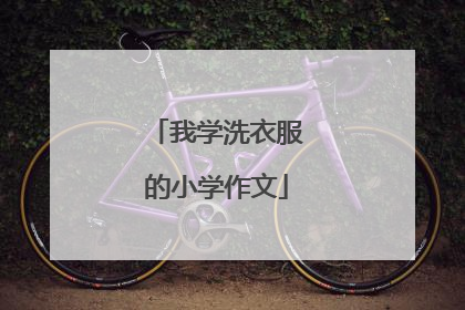 我学洗衣服的小学作文