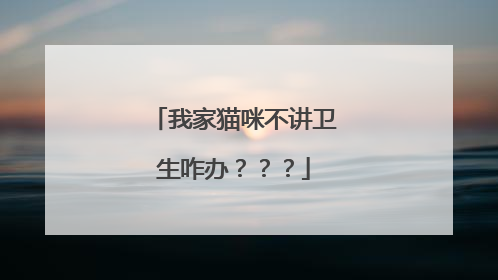 我家猫咪不讲卫生咋办？？？