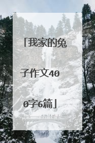 我家的兔子作文400字6篇