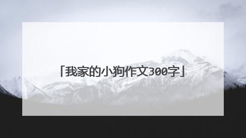 我家的小狗作文300字