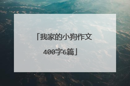 我家的小狗作文400字6篇