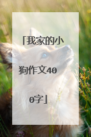 我家的小狗作文400字