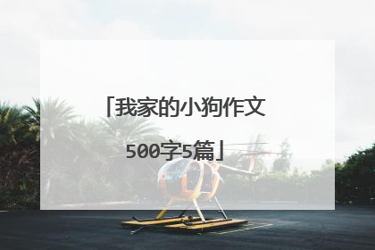 我家的小狗作文500字5篇