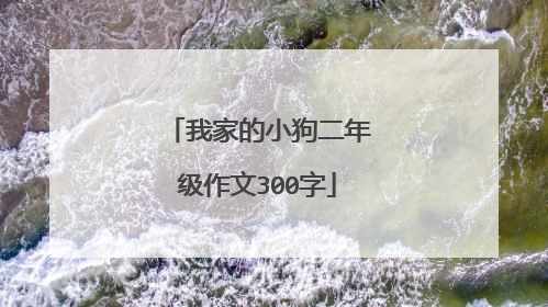 我家的小狗二年级作文300字