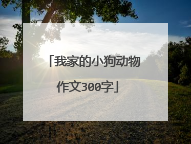 我家的小狗动物作文300字