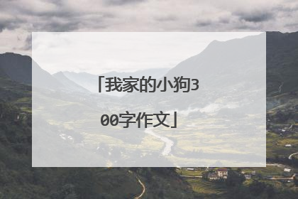 我家的小狗300字作文