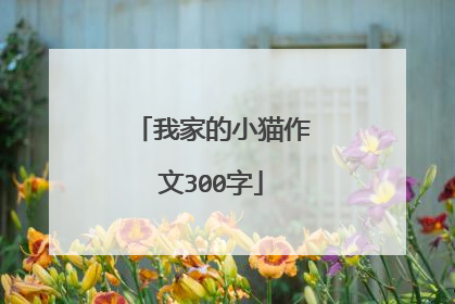 我家的小猫作文300字