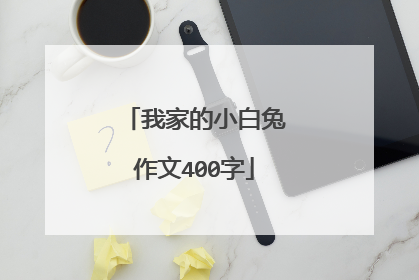 我家的小白兔作文400字