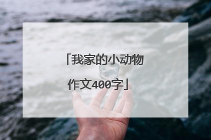 我家的小动物作文400字