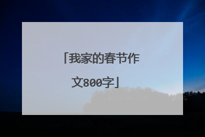 我家的春节作文800字