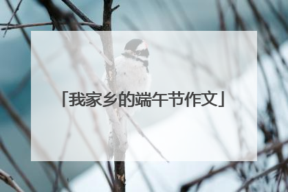我家乡的端午节作文