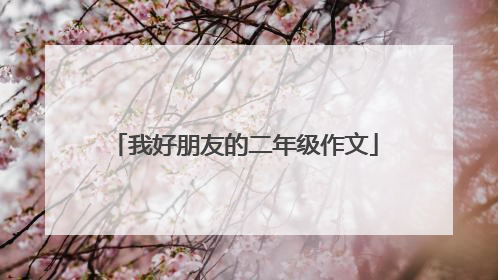 我好朋友的二年级作文