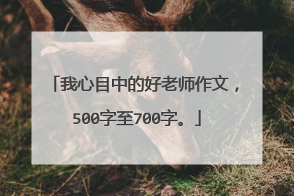 我心目中的好老师作文,500字至700字。