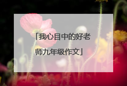 我心目中的好老师九年级作文