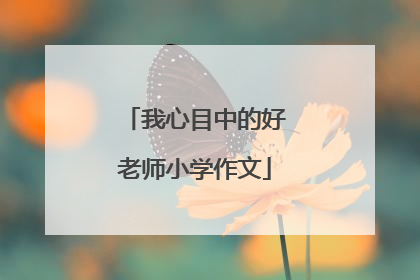 我心目中的好老师小学作文