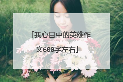 我心目中的英雄作文600字左右