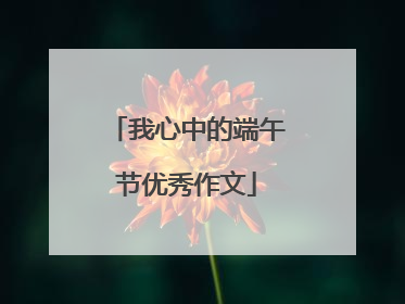 我心中的端午节优秀作文