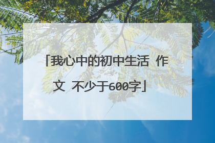 我心中的初中生活 作文 不少于600字